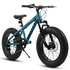 Fat Tire Bike Adult 7 Speed Mountain Bike, Dual Disc Brakes High Carbon 20 Inch