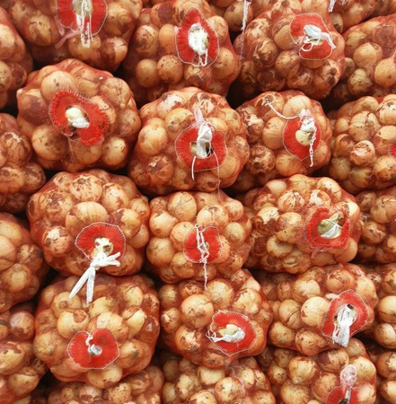 ОВОЩИ И ФРУКТЫ