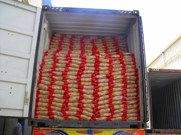 Makkaroni Abkürzung, Alle Formen Pasta, Ellbogen, Stift, Fadennudeln, Fusilli, Twist, 5 kg, Marke Bella