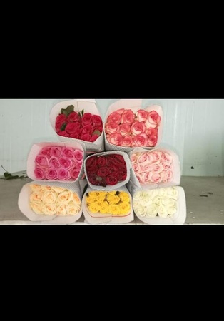 Fresh Cut Roses
