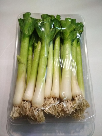 Чеснок зелёный молодой