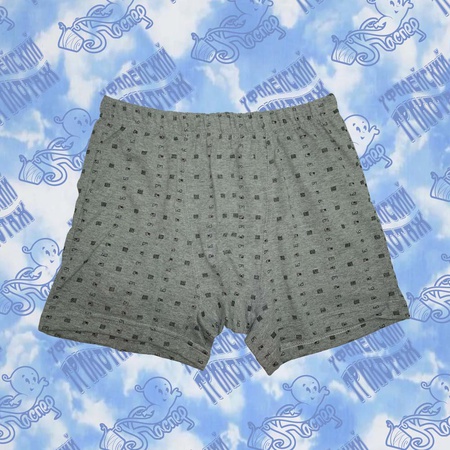 Трусы мужские 02-12004