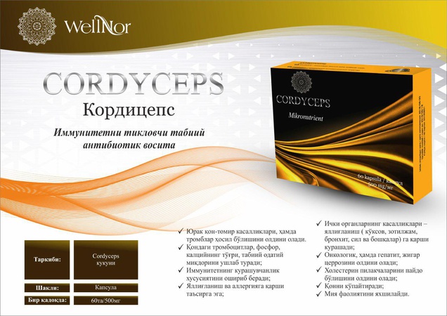 Кордицепс | Cordyceps