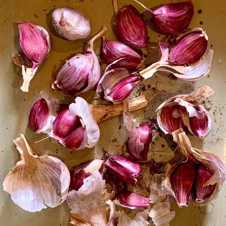 Чеснок красный