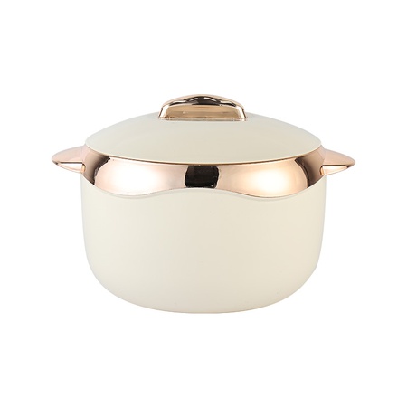 vacuum stainless steel food container