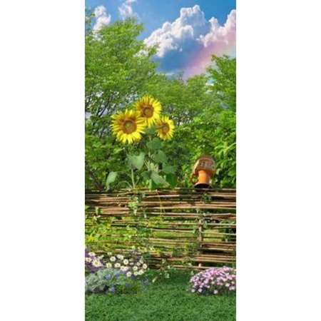 После дождя/3 листа дверные