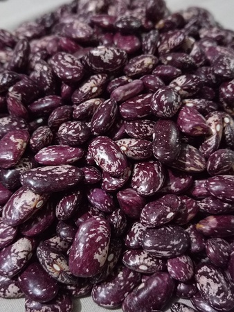 Фасоль королевская