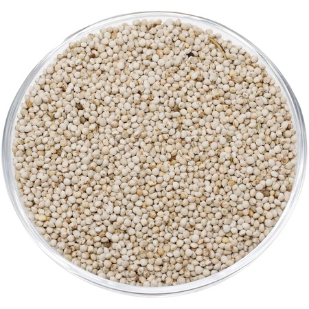 Семена периллы