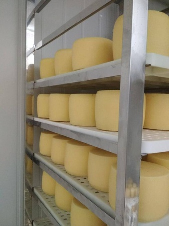 İtalyan sert peynirleri