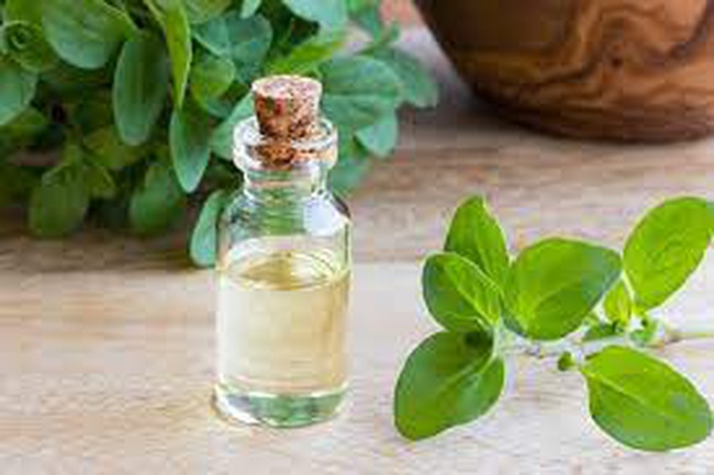 Масло майорана