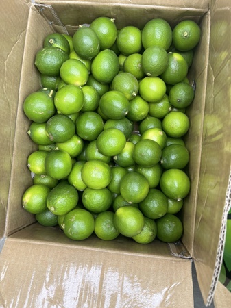 Свежий лайм без косточек из Вьетнама/свежий лайм/свежий зеленый лимон без косточек