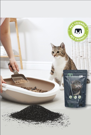 Marco Cat Kedi Kumu Koku Giderici