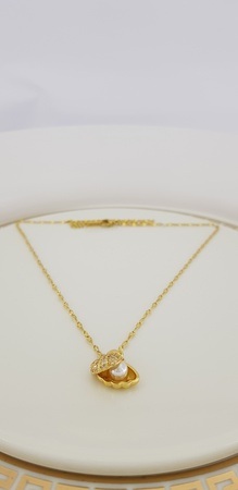 Ожерелье из библейской стали