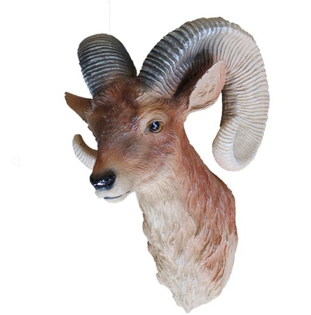 Голова Баран