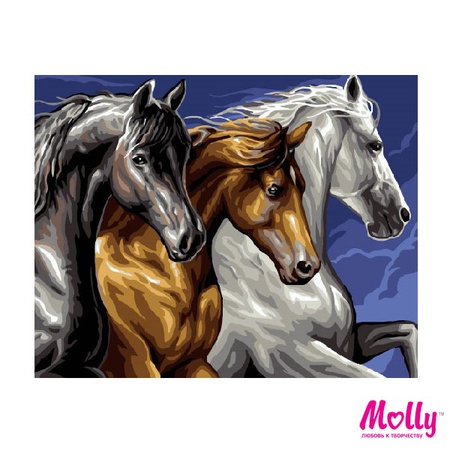 Paint by number Troika