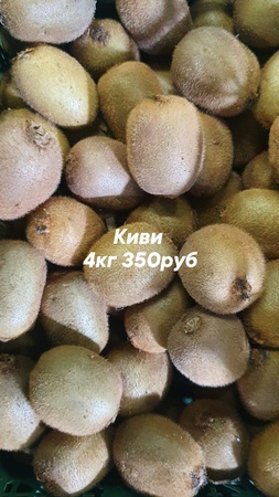 Оптом ягоды, фрукты и овощи