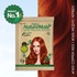 Nisha Naturemate Natural Henna Based Hair Color 90g -Henna | Ammonia-Free, PPD & Resorcinol Free | 100% Grey Coverage Hair Colour
