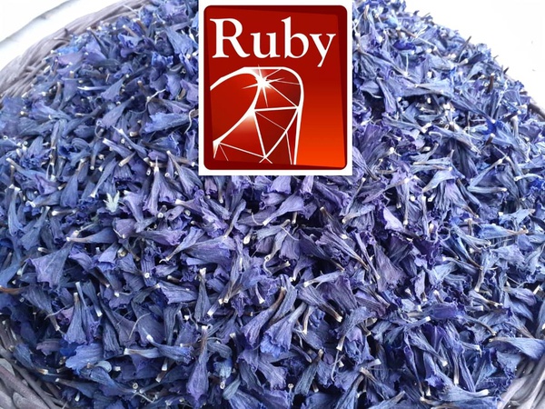 Wholesale: Borage, Red Feather, Echium