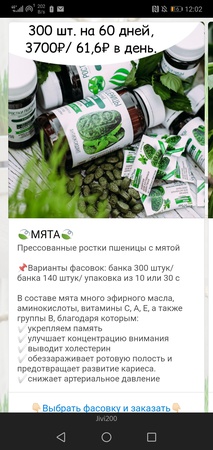 Ростки пшеницы