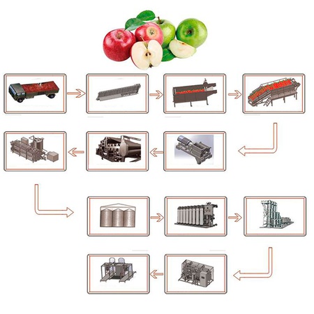 Линия по переработке свежих яблок