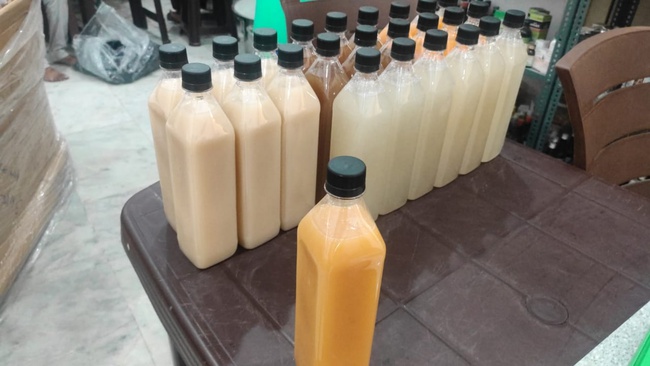 Taxus brevefolia fx çözümü