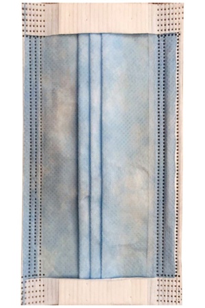 3-ply Surgical Masks plus Ultrasonic Blowing 1 box x 50 pcs