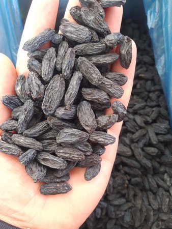 Изюм черный жамбо
