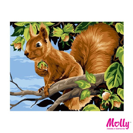 Paint by number Squirrel