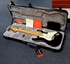 Best Electric Fender American Professional II Stratocaster Guitar.