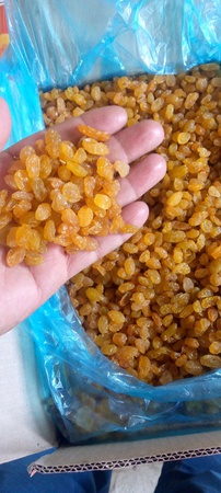 Изюм желтый