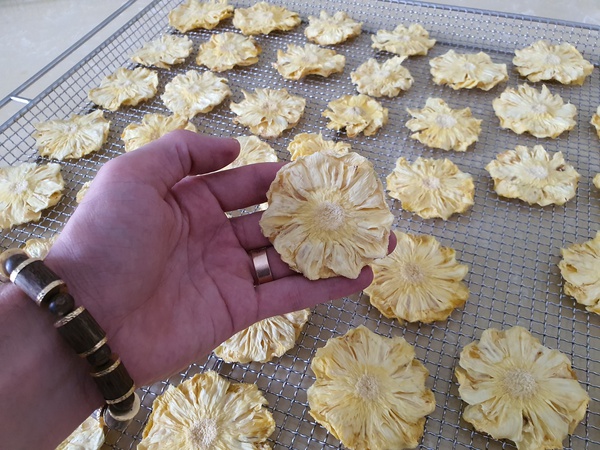 Kurutulmuş Ananas. OLMISH fabrikalarından kurutulmuş meyveler