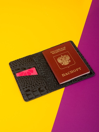Passport cover PK-51