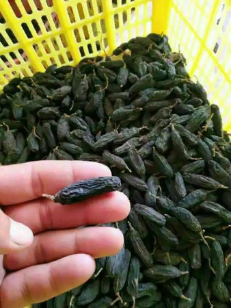 Изюм черный жамбо