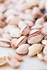 Pistachios, type: /jumbo (kale ghoochi)