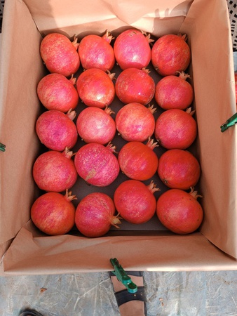 taze nar ihracata hazır ve diğer meyveler