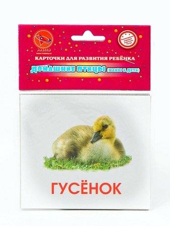 Bebek Gelişim Kartları