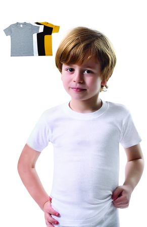 T-shirt. Emlak Kodu: 2222