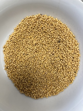 Горчичное масло, горчичный порошок, горчичное семя