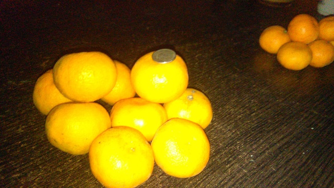 Мандарины Абхазские