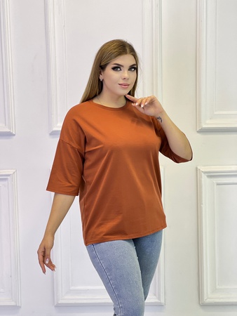 Tişört 013 zencefil