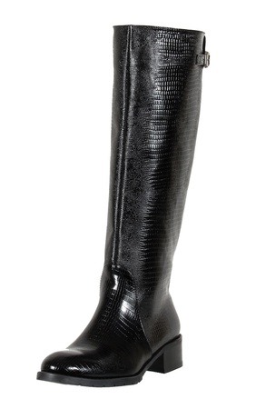 Женские сапоги, кожа под змею <G1161>