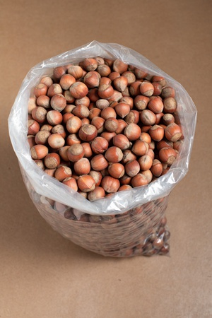 Hazelnut in shell KHAN - Georgia