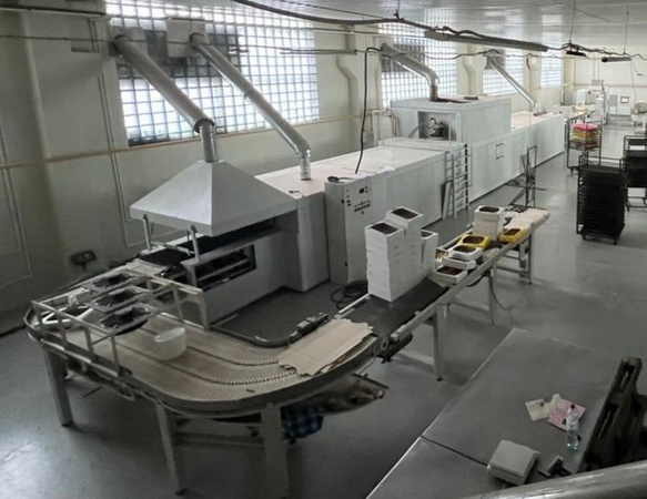 Линия с газовой тоннельной печью