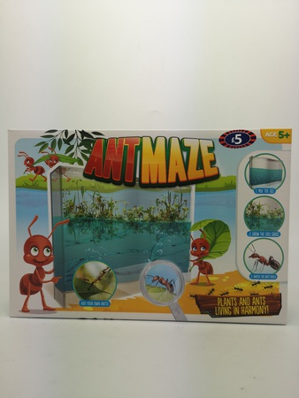 Муравей Лабиринт