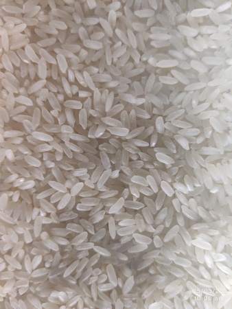 Bob-Basmati Pirinç (Beyaz & Yarı Haşlanmış Pirinç)