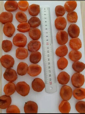Dried apricot