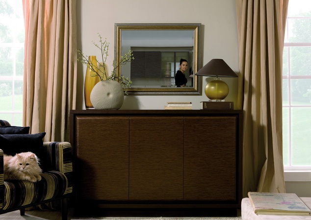 النظام المعياري &quot;Areca&quot;