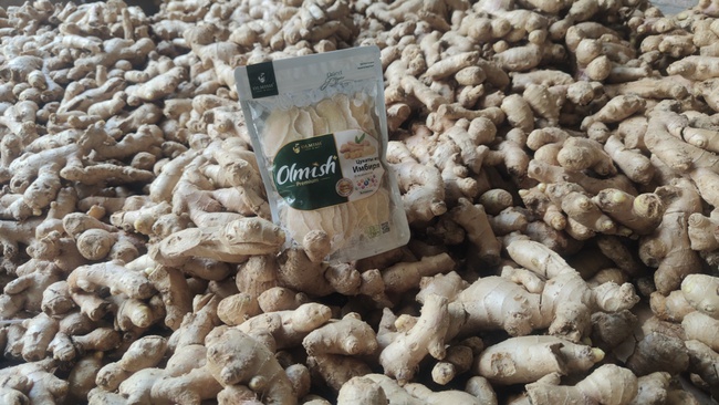 %3 şekerli kurutulmuş zencefil. OLMISH fabrikalarından kurutulmuş meyveler