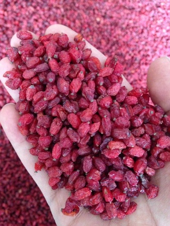 Wholesale: Dried Fruits