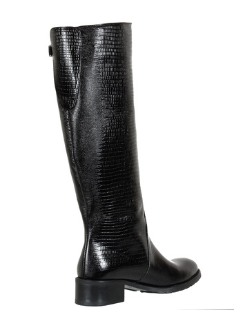 Женские сапоги, кожа под змею <G1161>